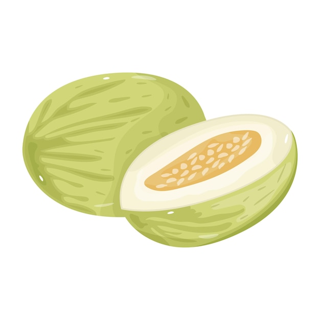 An icon of melon in isometric style