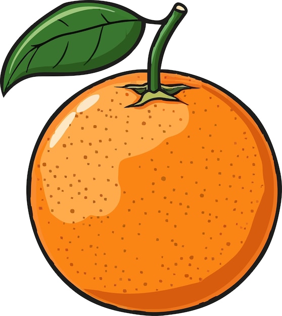 Icon orange fruits vector