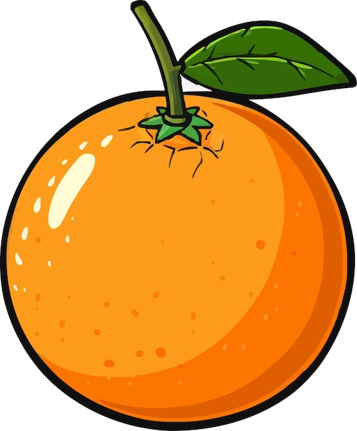 Icon orange fruits vector