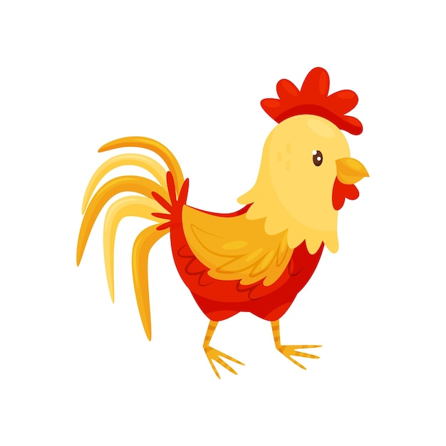 Icon of rooster with redorange feathers big scallop and lush tail Domestic fowl Poultry farming Farm animal theme Cartoon vector illustration Colorful flat design isolated on white background