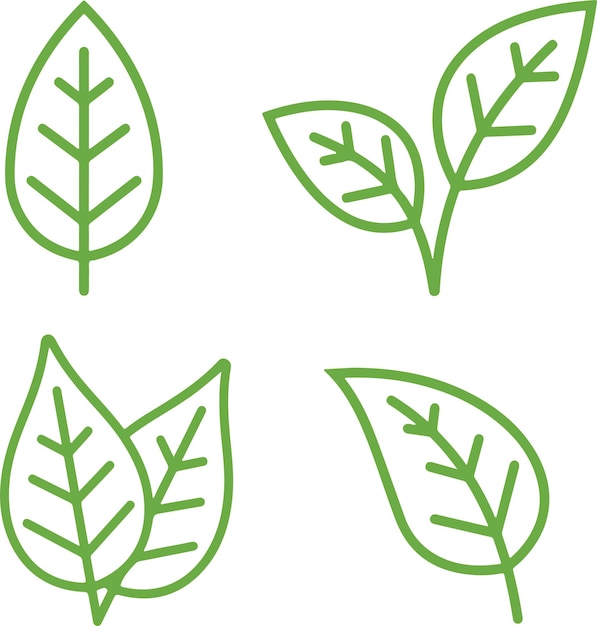 Icon set about leaf leaves of green plants Thin line icons flat vector illustrations isolated on