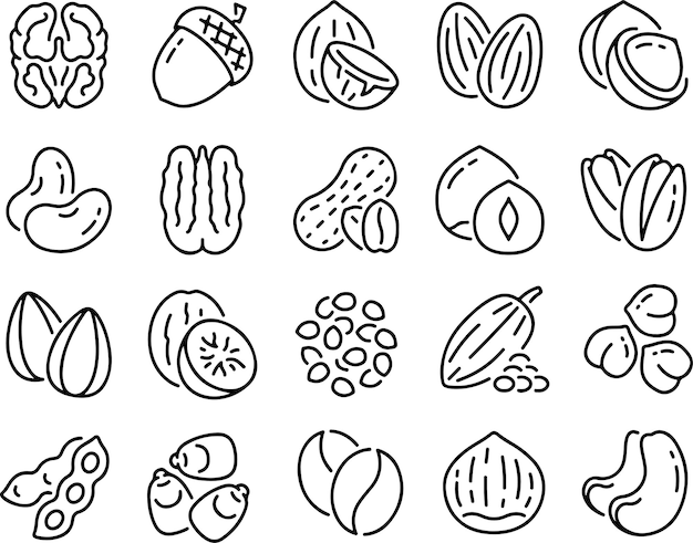 Icon set of nuts peanuts hazelnuts walnuts cashews pistachios almond food Thin line icons