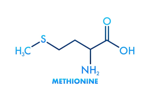 Icon with methionine formula Amino acid molecule