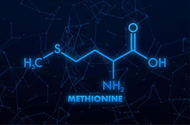 Icon with methionine formula Amino acid molecule