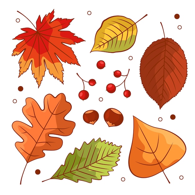 Icons of autumn leaves or autumn foliage Vector isolated set of maple oak or birch and rowan leaves Falling autumn leaves of poplar beech or elm and aspen berries and chestnuts