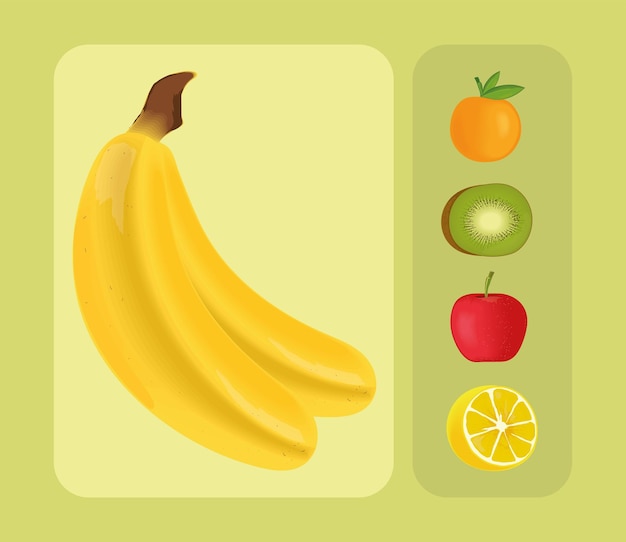 Icons fruits realistic