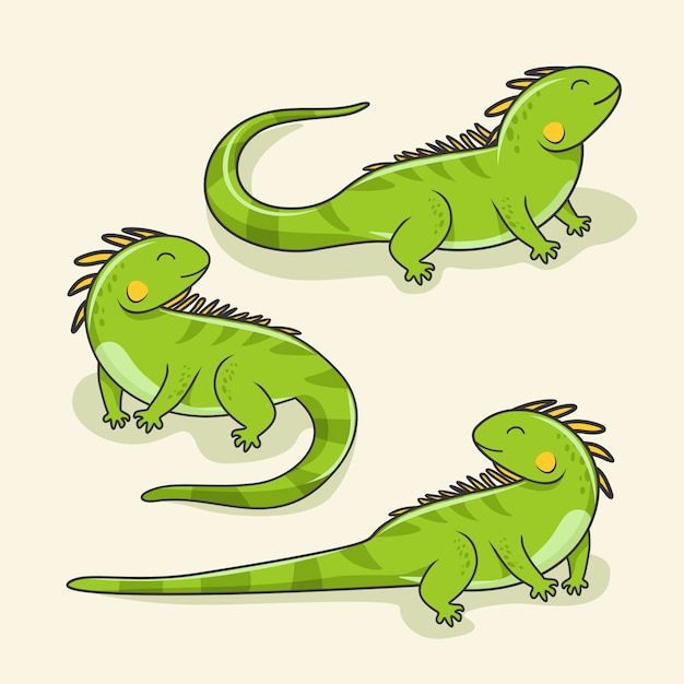 Iguana Cartoon Cute Lizard Animal Reptile Set