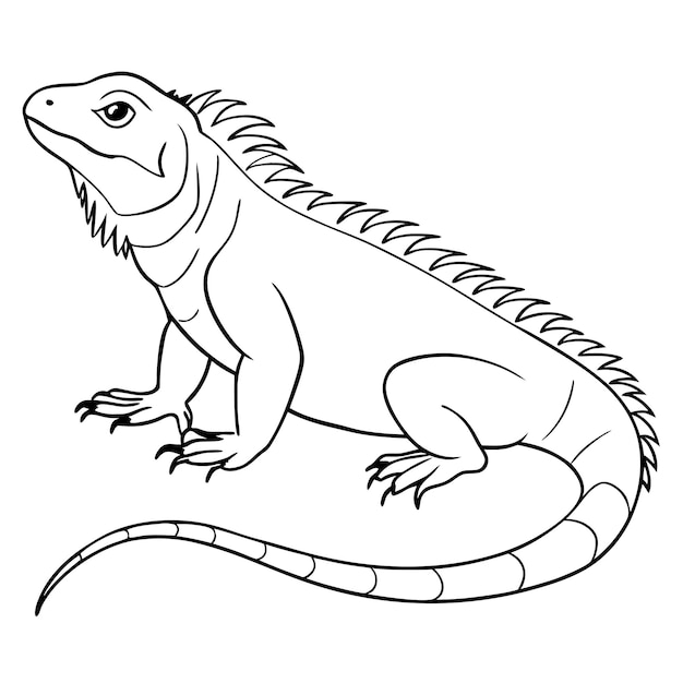 Iguana line art vector