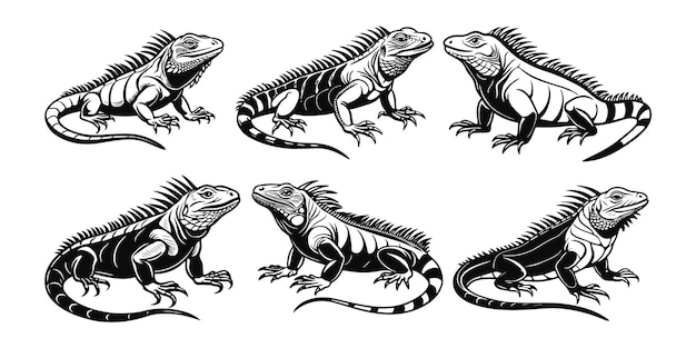 iguana silhouette vector illustration