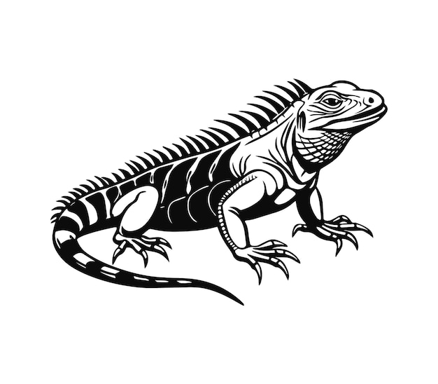 iguana silhouette vector illustration