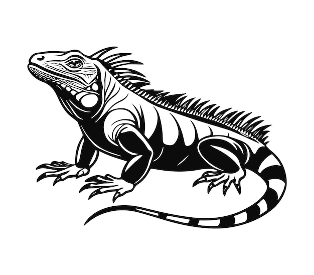 iguana silhouette vector illustration