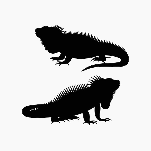 Iguana Silhouette Vector Set Animals Illustration Template