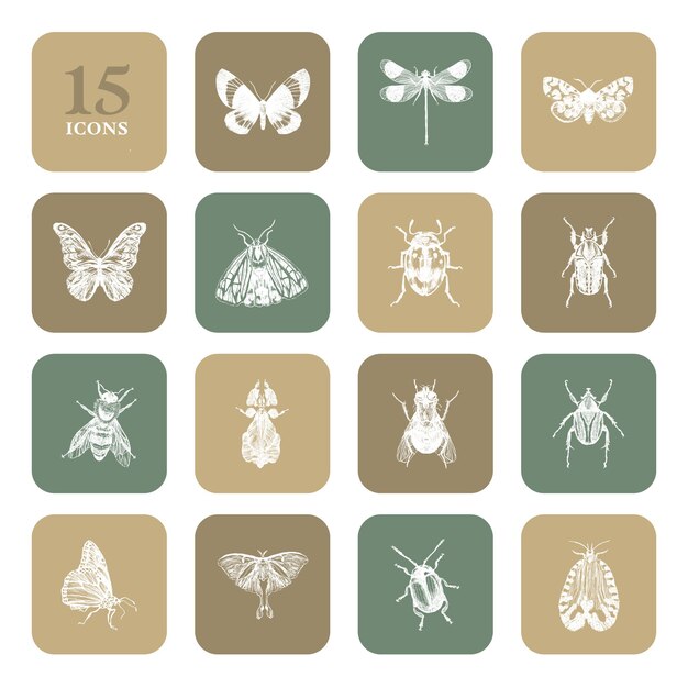 Illustrated Animal 15 Icons In One Template