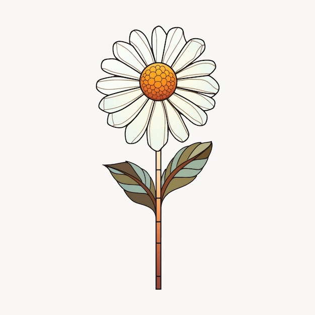 Vector illustrated daisy flower design