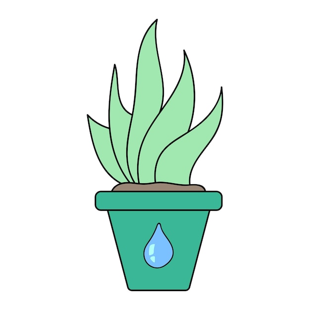 Illustration of aloe Blue Elf on a white background