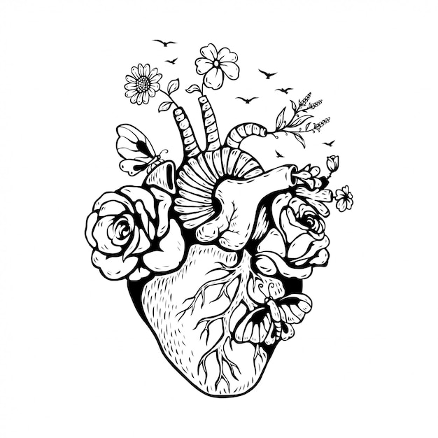 Illustration Anatomical heart with mushrooms