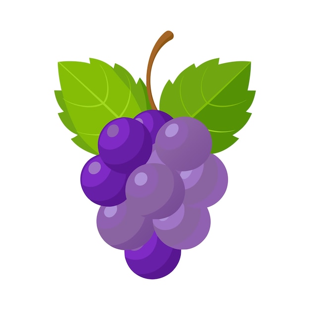 A illustration art of a purple grapes with green leaves vector