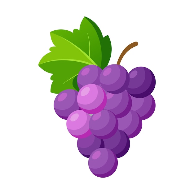 A illustration art of a purple grapes with green leaves vector