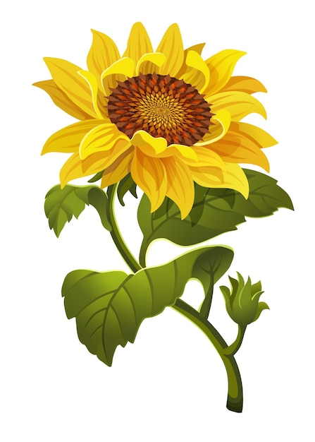 Illustration Beautiful sunflower flower. Vector