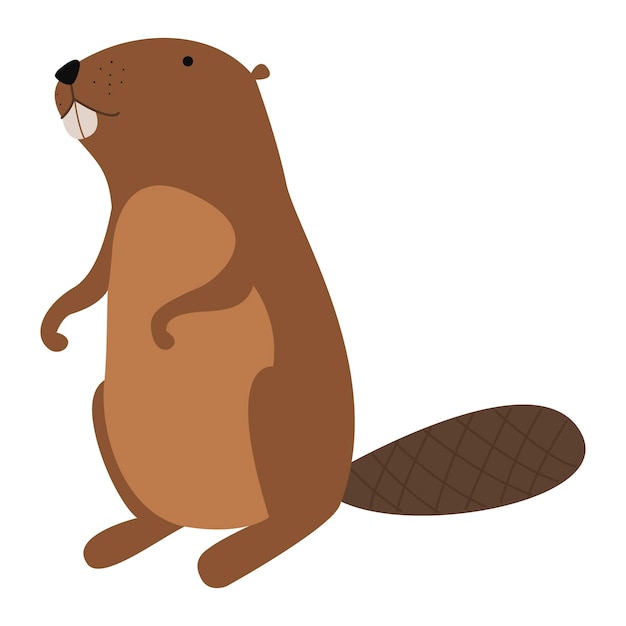 Illustration beaver