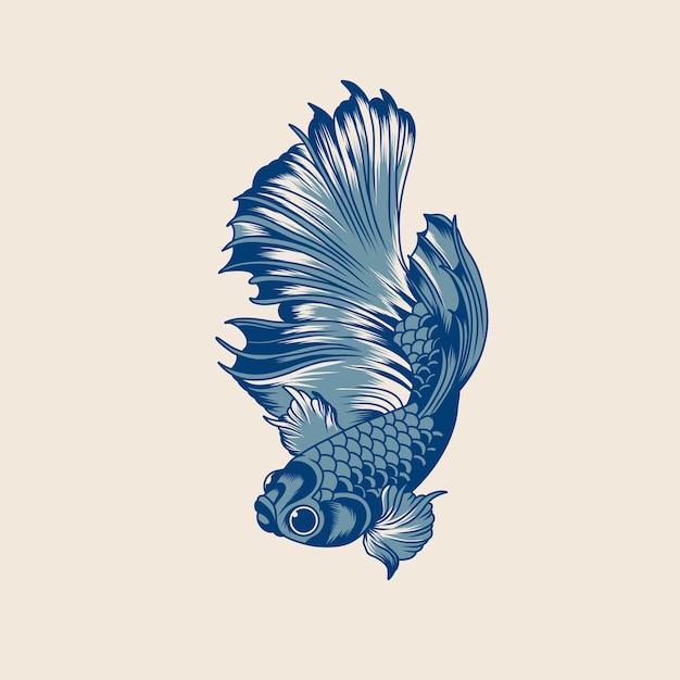 Vector illustration of betta fish vector design