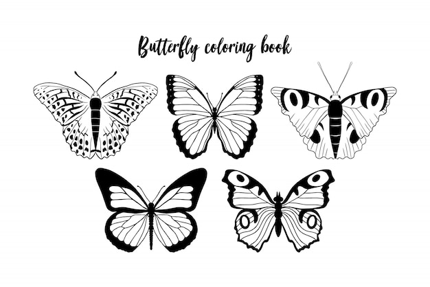 illustration of black and white butterfly contour. Coloring book template