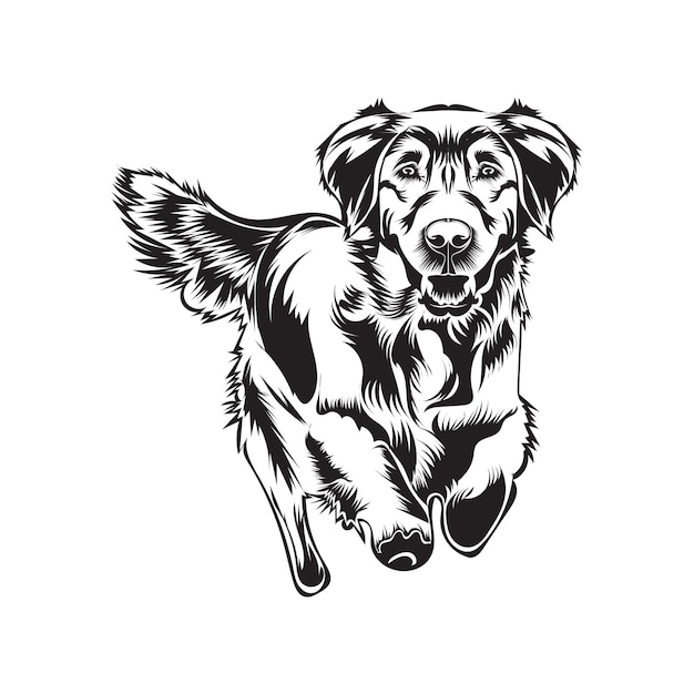 illustration of a black and white dog vector design