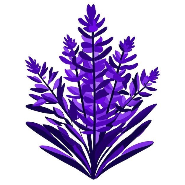 illustration bouquet of lavender doodle vector illustration