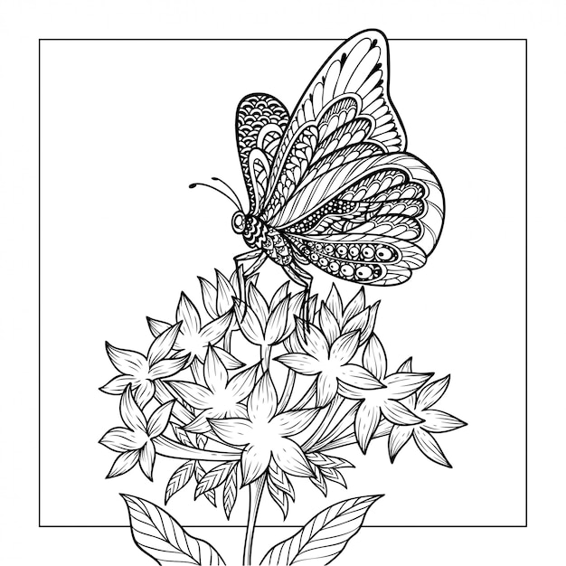 illustration of butterfly coloring page