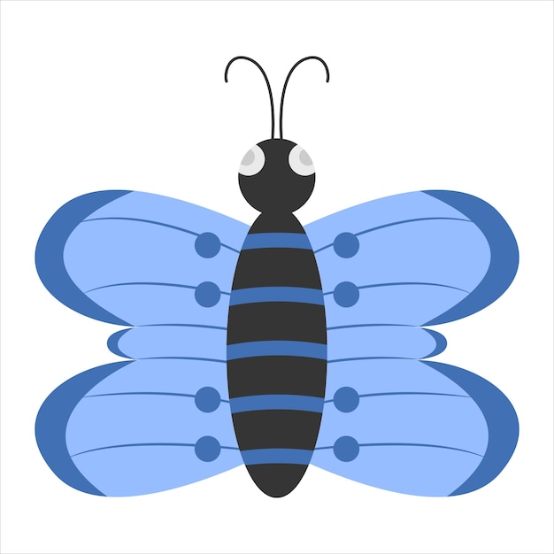 Illustration of butterfly