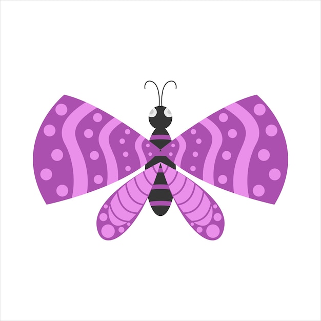 Illustration of butterfly