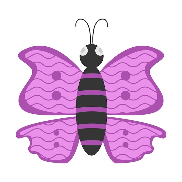 Illustration of butterfly