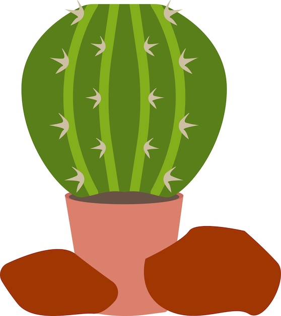 Illustration of cactus