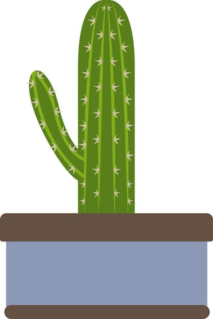 Illustration of cactus