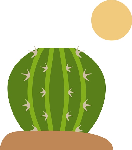 Illustration of cactus