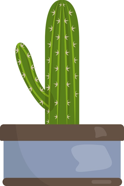 Illustration of cactus