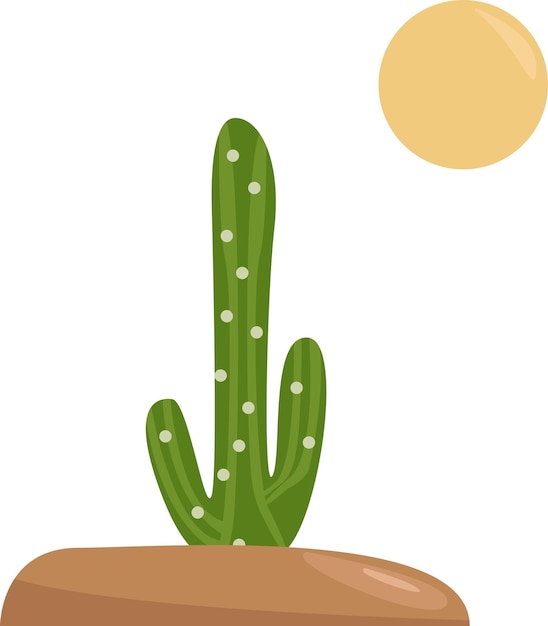 Illustration of cactus