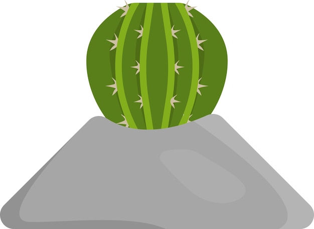 Illustration of cactus