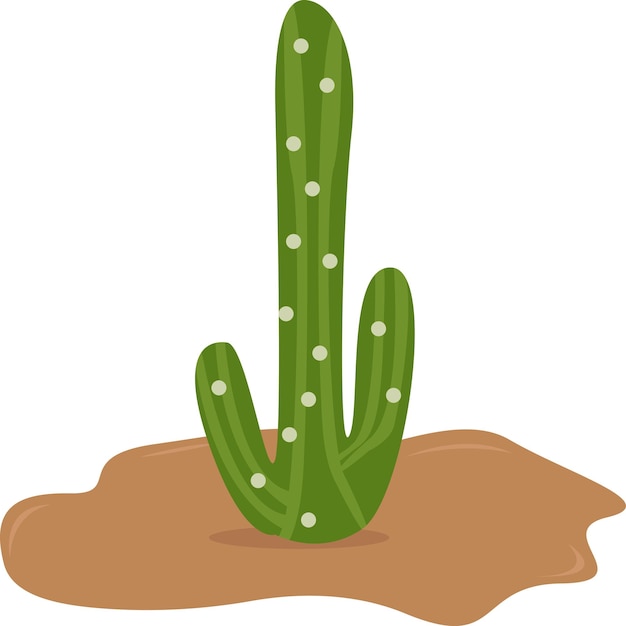 Illustration of cactus