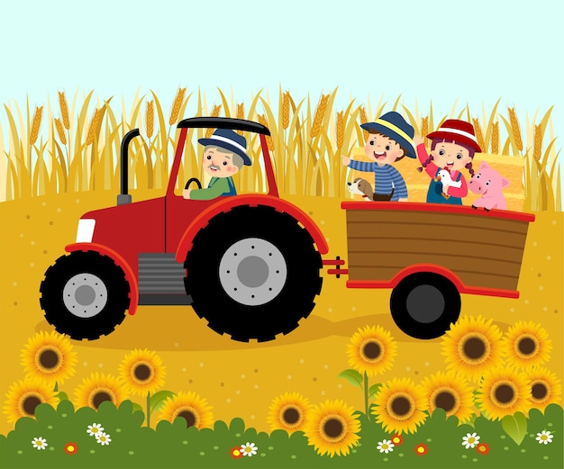   illustration cartoon of happy elderly farmer driving a tractor with kids and bales of straw on a trailer with wheat flied background.