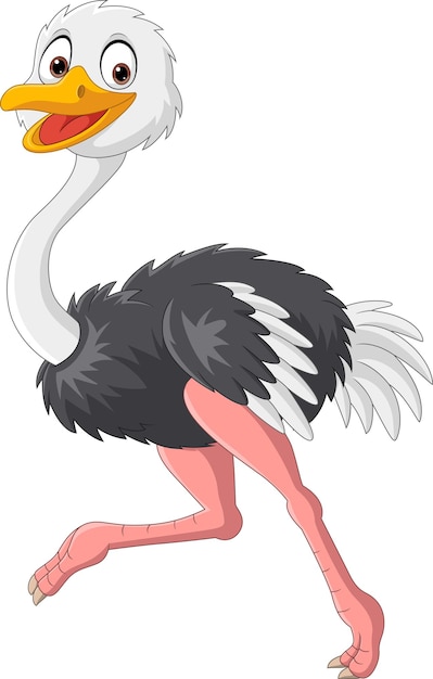 Vector illustration of cartoon ostrich running