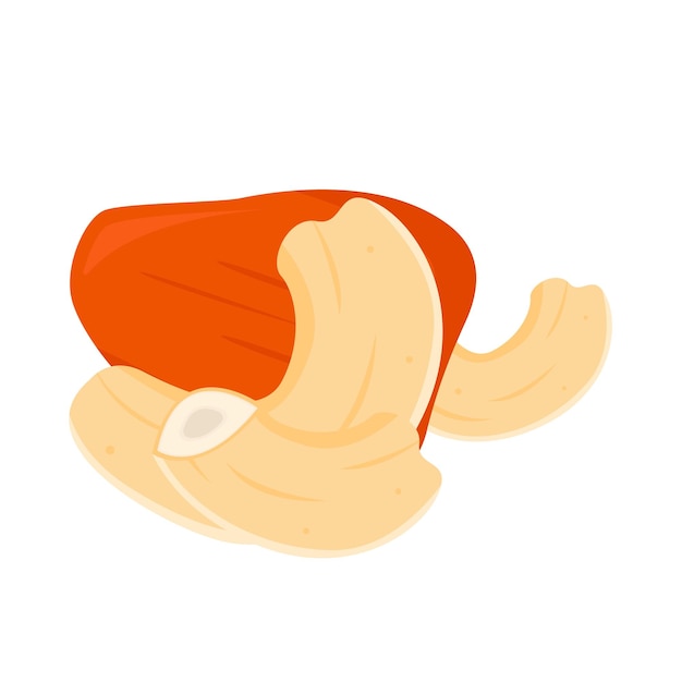 Vector illustration of cashew nuts