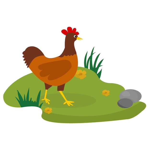 Illustration of a Chicken in flat style