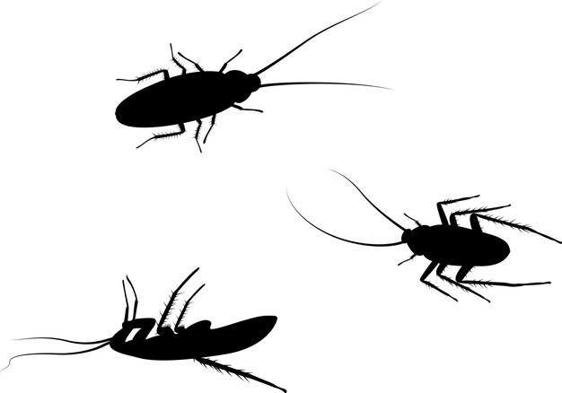 Vector illustration of a cockroach silhouette svg