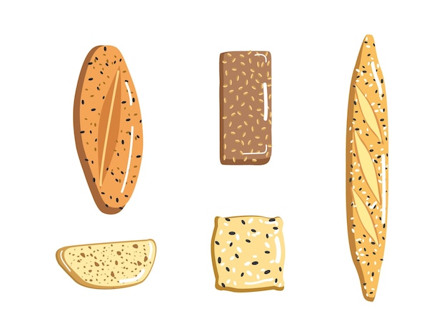 Illustration of a collection of bread variants