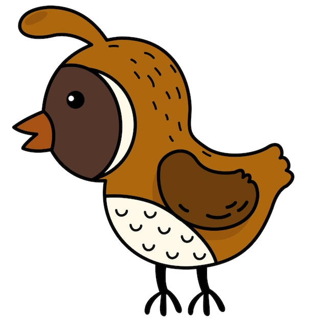 Illustration of colorful cartoon character quail