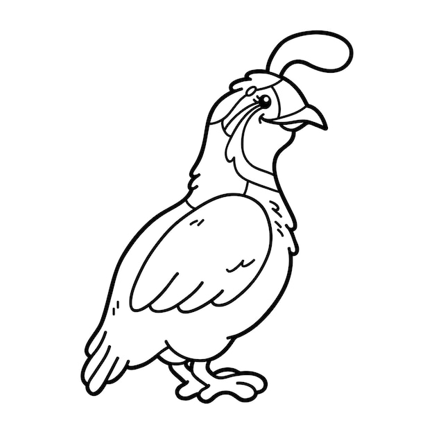 illustration coloring page with cartoon baby quail