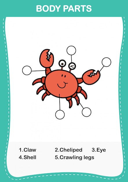 Illustration of crab vocabulary part of body,Write the correct numbers of body parts.vector