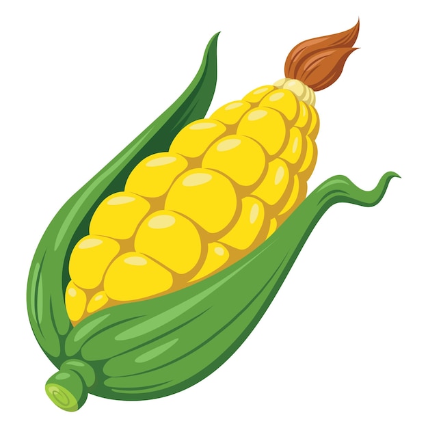 Illustration of cute cartoon corn