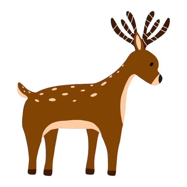 Illustration of deer isolated on white background. Cute hand drawn brown deer. Vector illustration